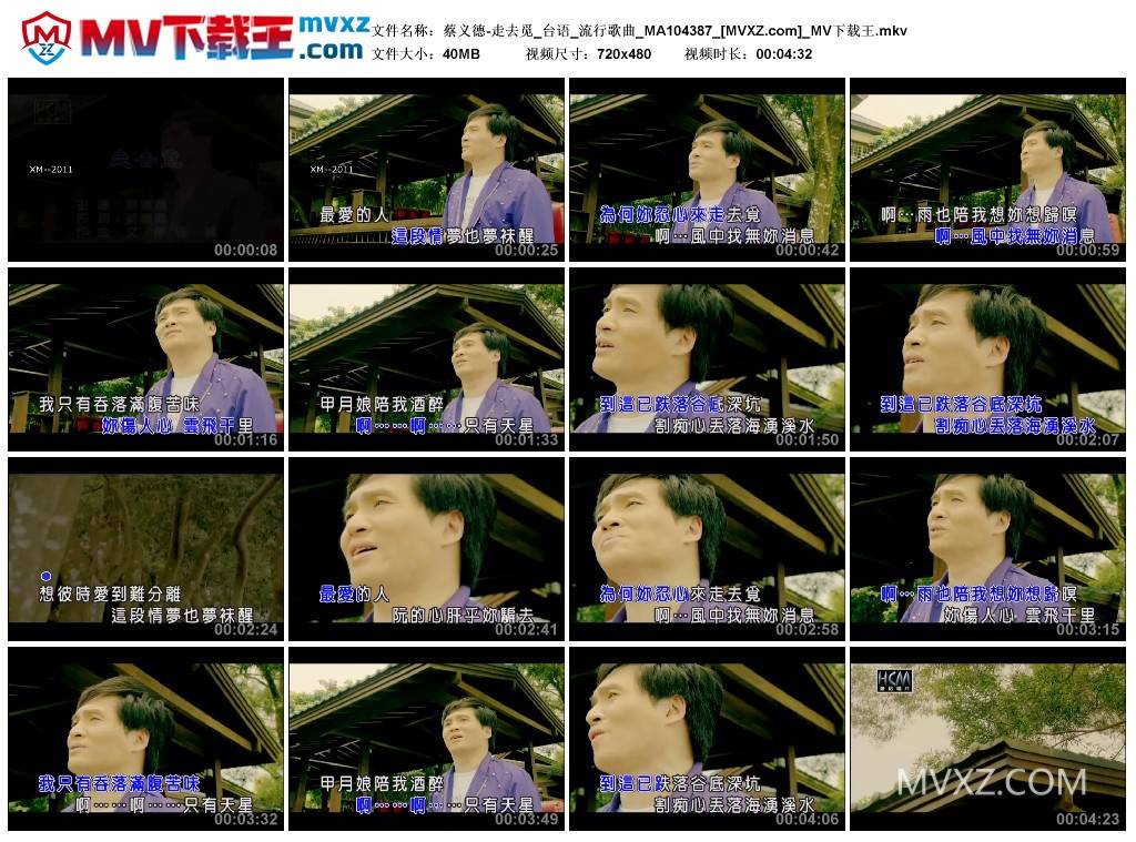 蔡义德-走去觅_台语_流行歌曲_MA104387